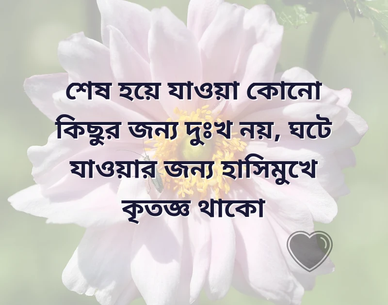 দারুণ একটি ছবি