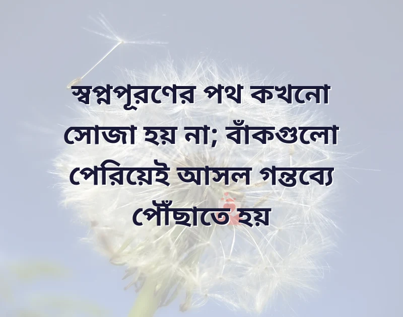 মন ছুঁয়ে যাওয়া ছবি
