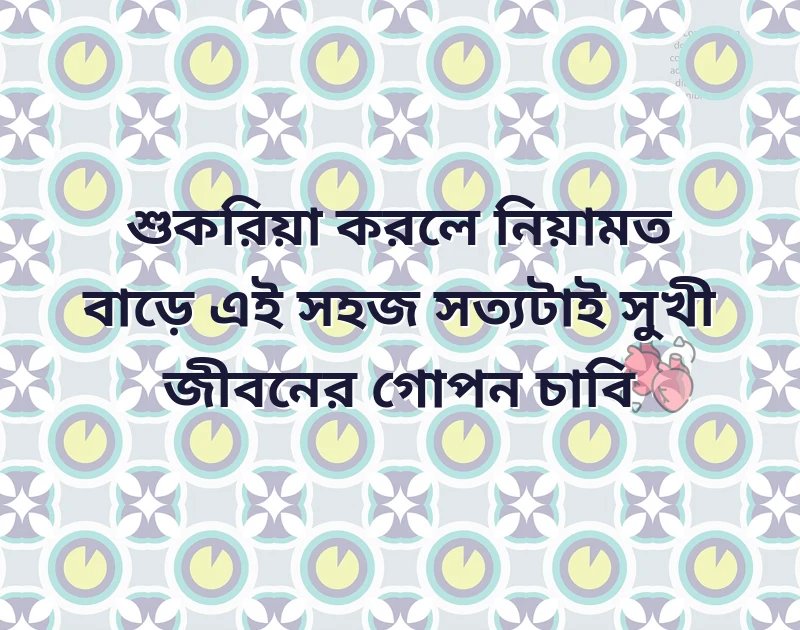 শেয়ার করার মতো ছবি