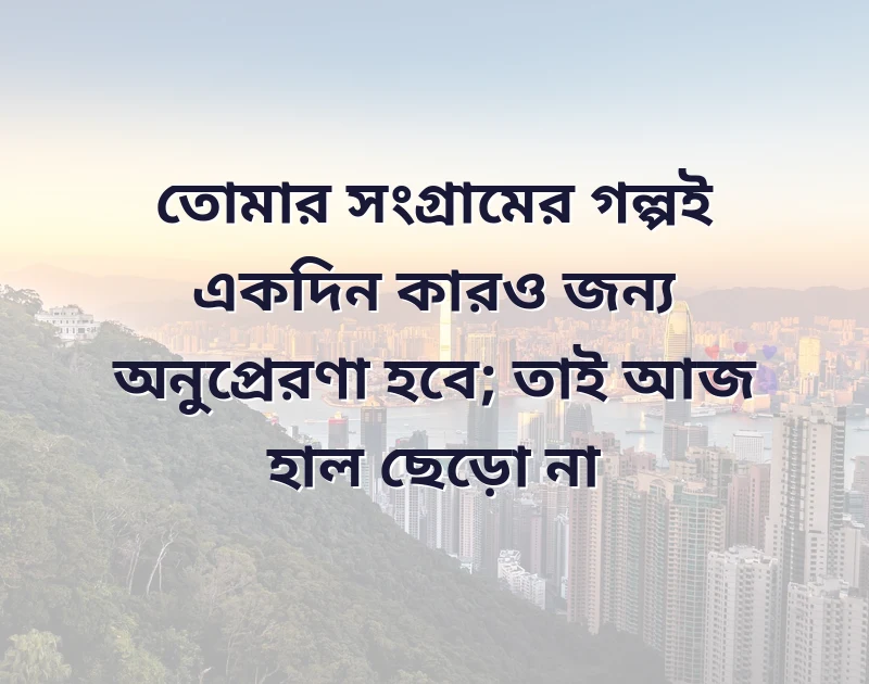 সুন্দর একটি ছবি