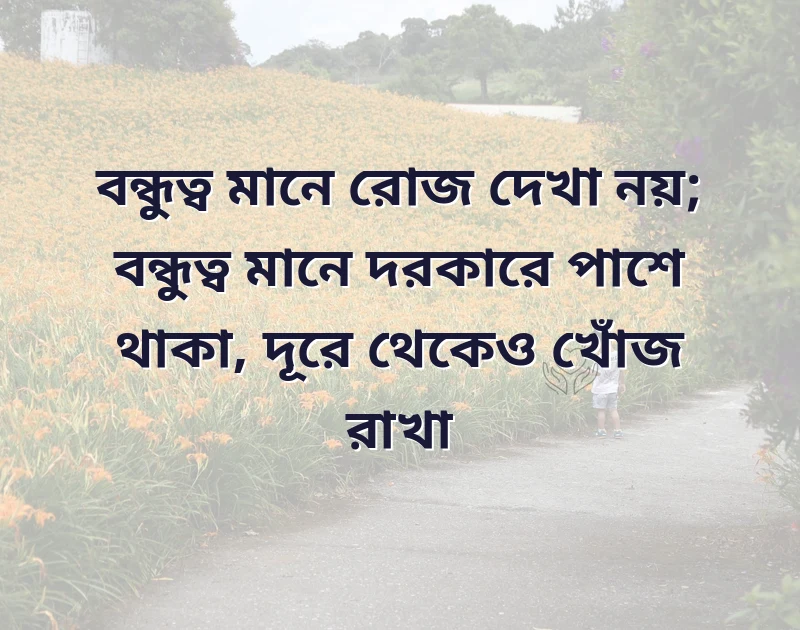 মন ছুঁয়ে যাওয়া ছবি