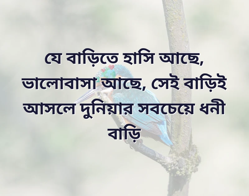 আকর্ষণীয় একটি ছবি