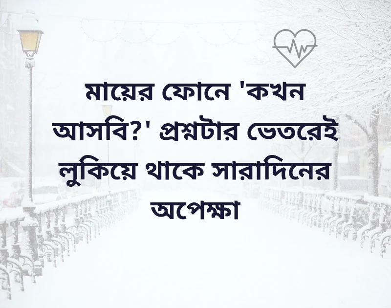 সুন্দর একটি ছবি