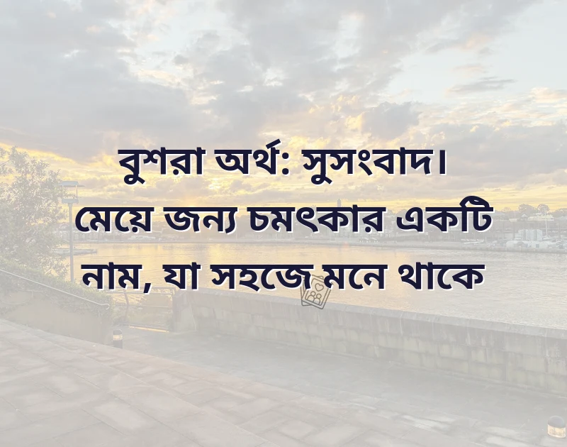 সুন্দর একটি ছবি