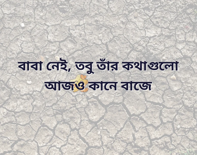 শেয়ার করার মতো ছবি