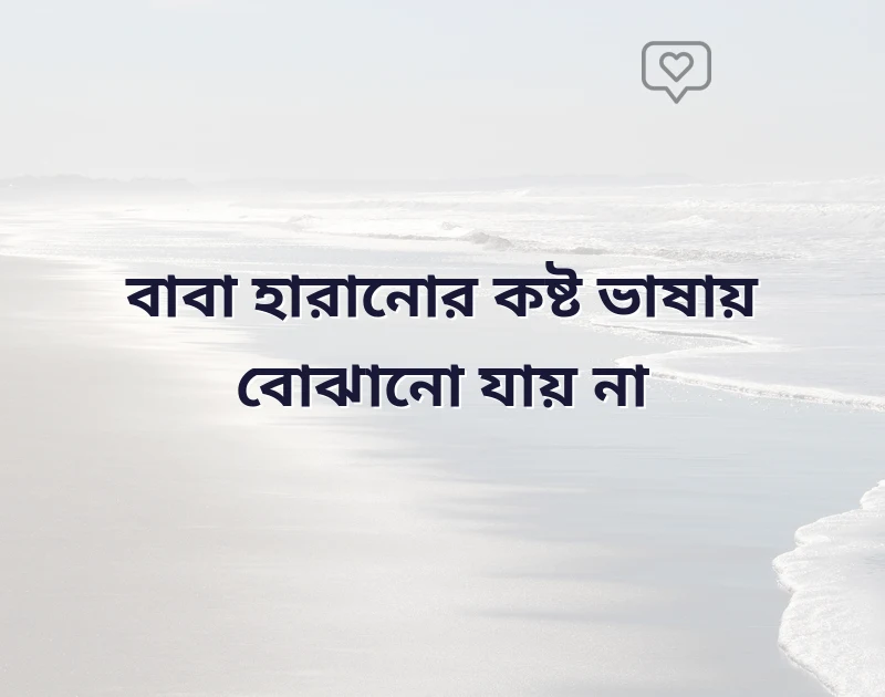 বাবাকে হারানোর কষ্ট