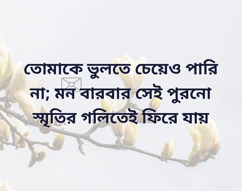দারুণ একটি ছবি