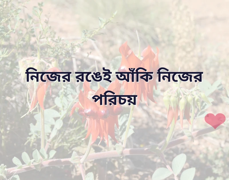 মন ছুঁয়ে যাওয়া ছবি