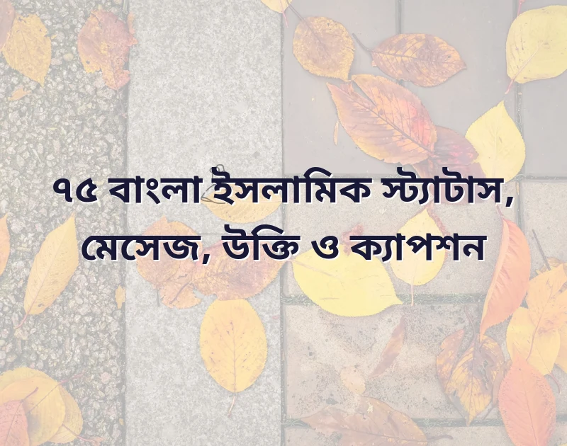 বাংলা ইসলামিক স্ট্যাটাস