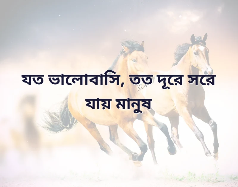 শেয়ার করার মতো ছবি