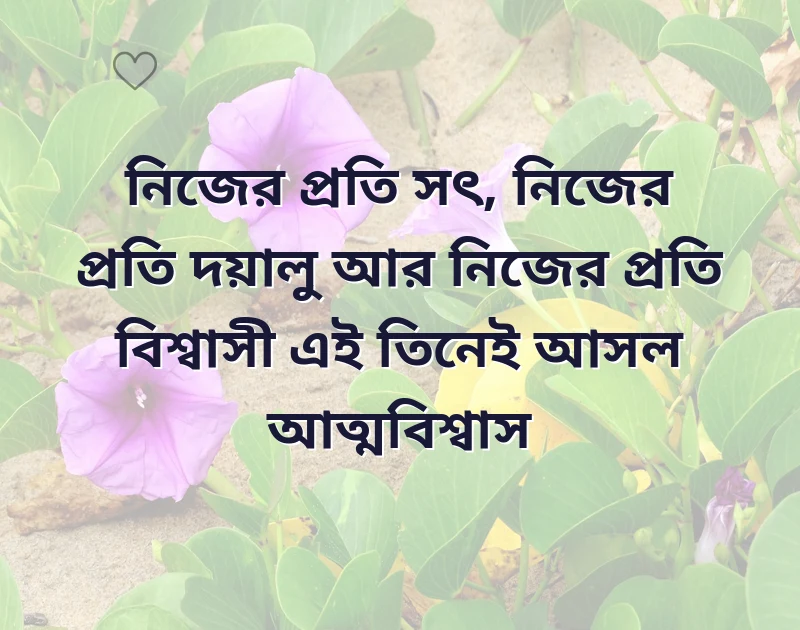 মন ছুঁয়ে যাওয়া ছবি