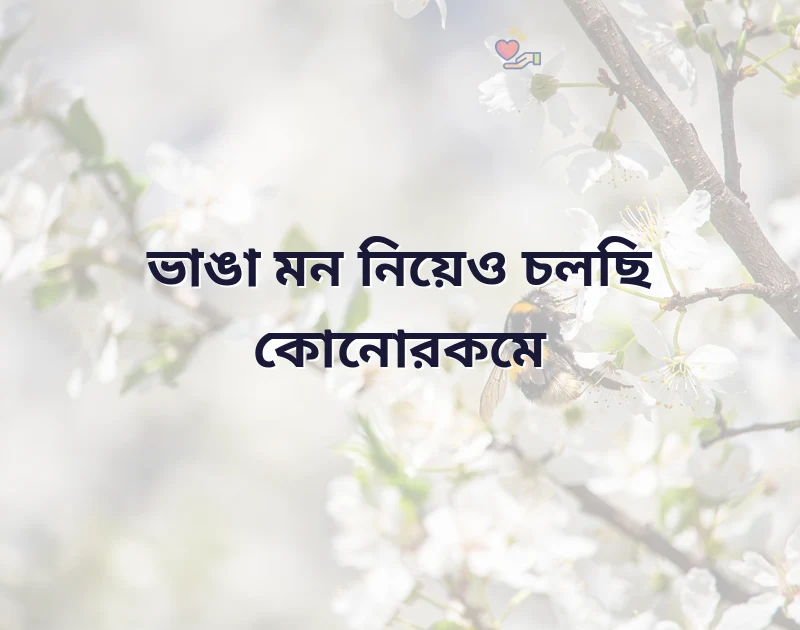 শেয়ার করার মতো ছবি