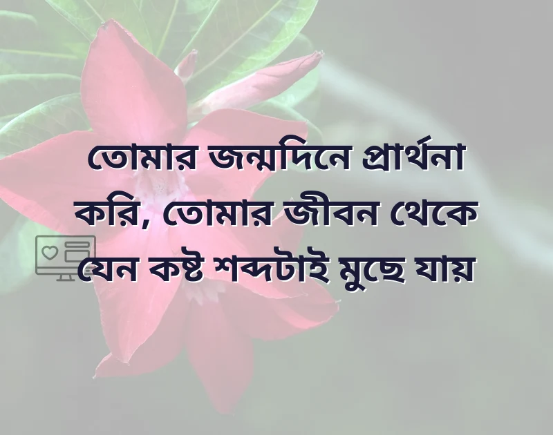 মন ছুঁয়ে যাওয়া ছবি