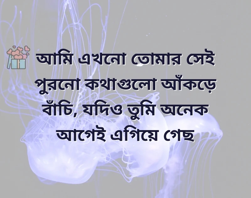 আকর্ষণীয় একটি ছবি