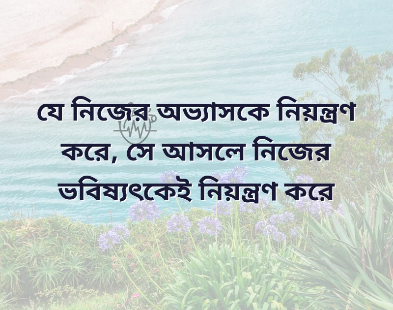 শেয়ার করার মতো ছবি