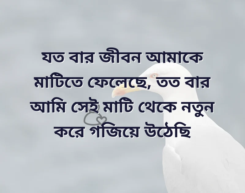 পছন্দের একটি ছবি
