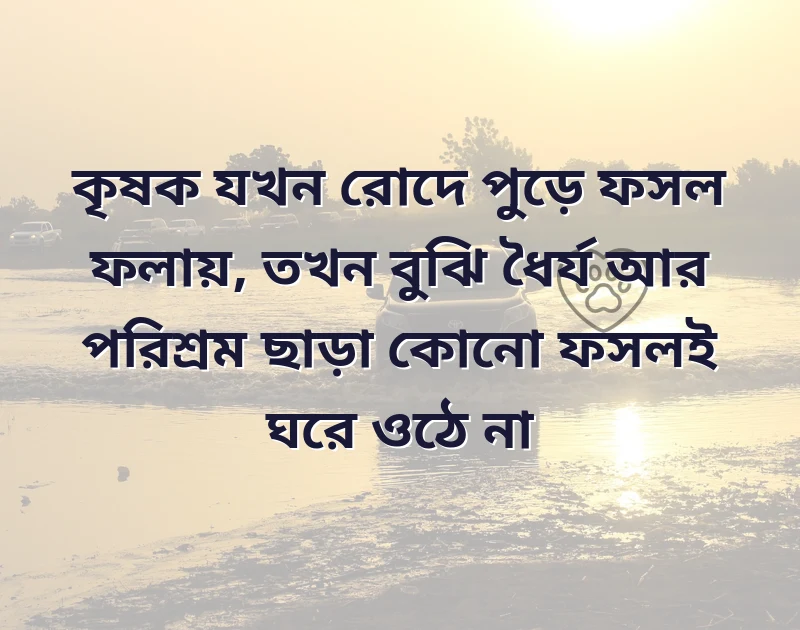 bengali facebook bio