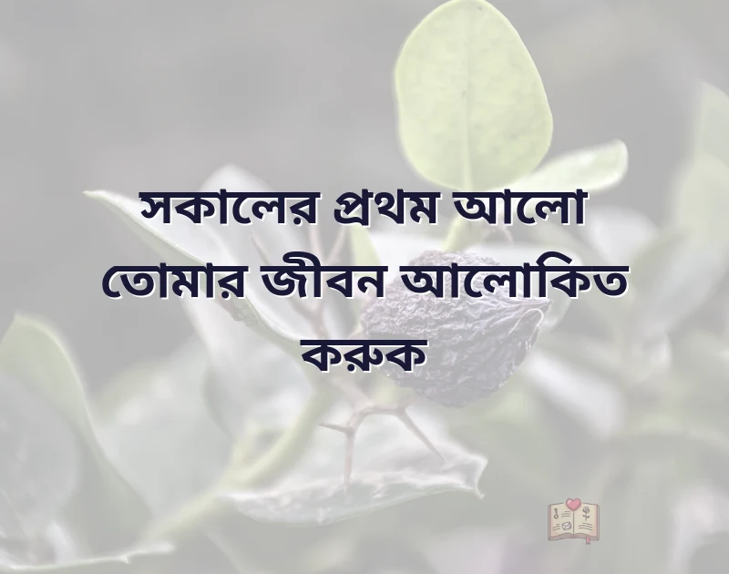 bengali good morning quotes