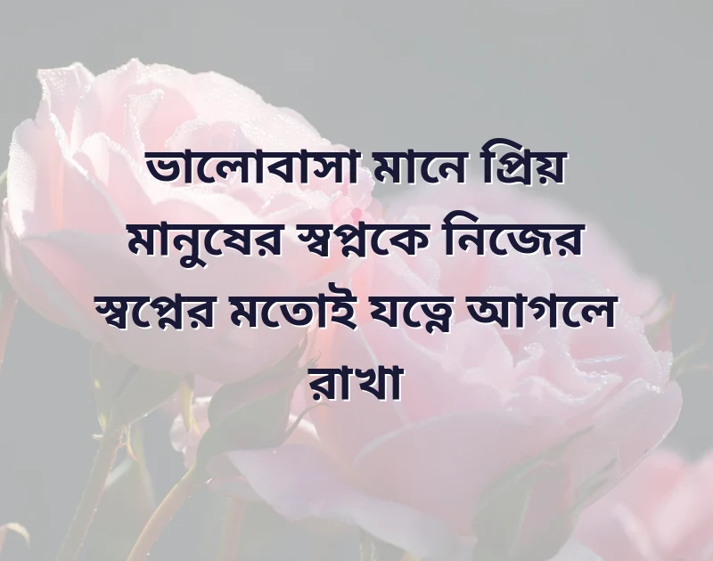 শেয়ার করার মতো ছবি