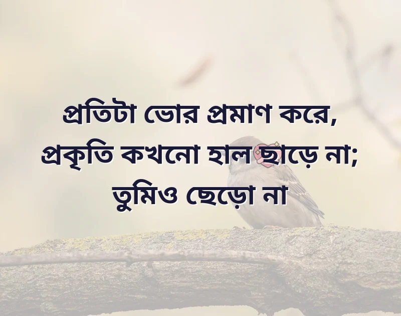 আকর্ষণীয় একটি ছবি