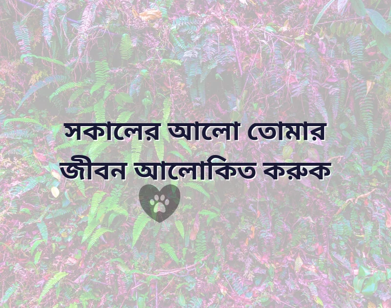 bengali morning wishes