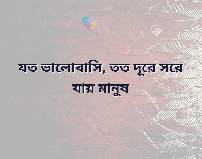 দারুণ একটি ছবি