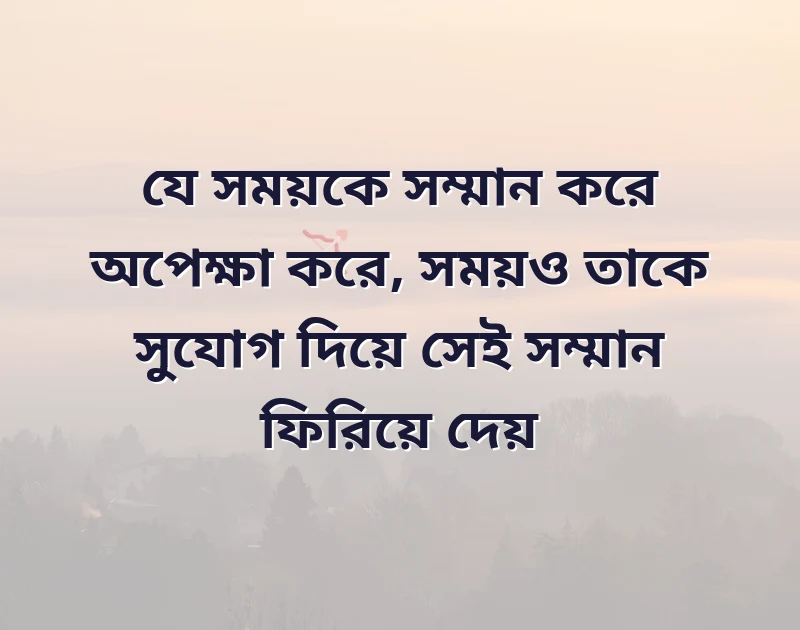 পছন্দের একটি ছবি
