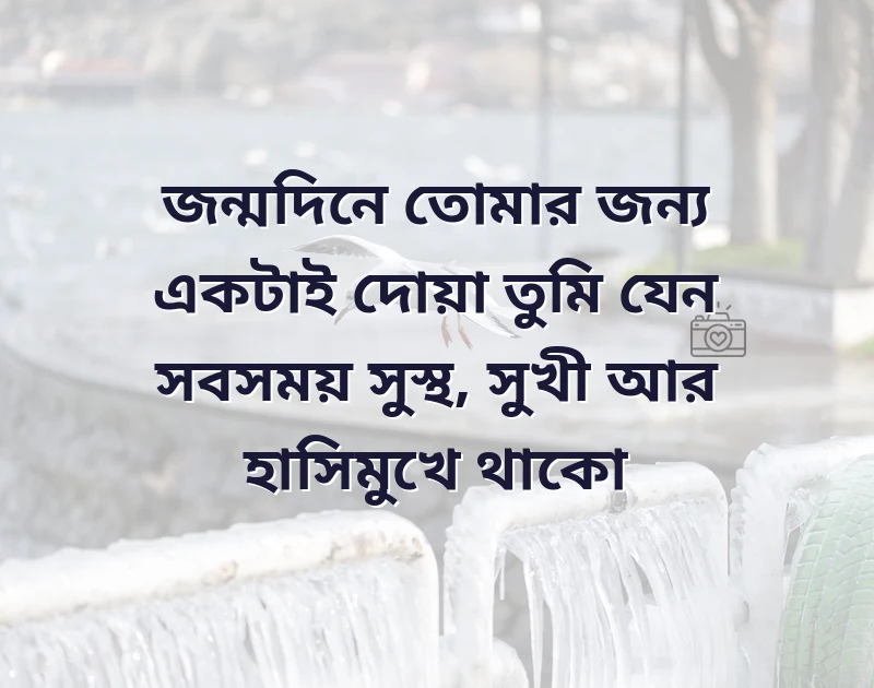 পছন্দের একটি ছবি