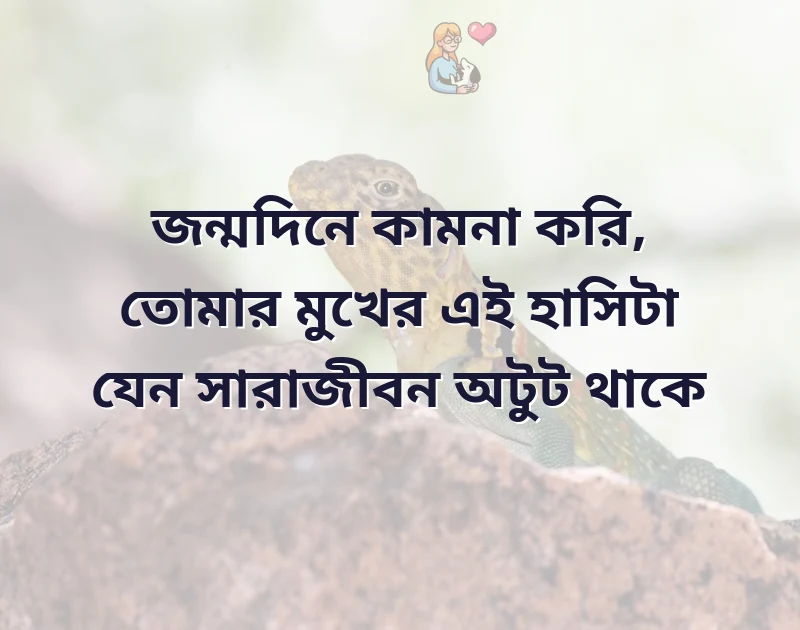আকর্ষণীয় একটি ছবি