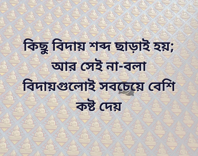 আকর্ষণীয় একটি ছবি