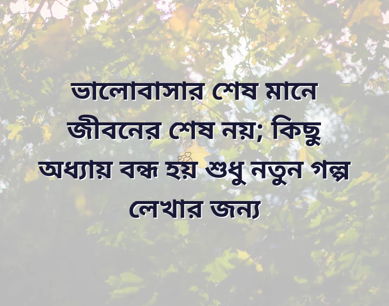 মন ছুঁয়ে যাওয়া ছবি