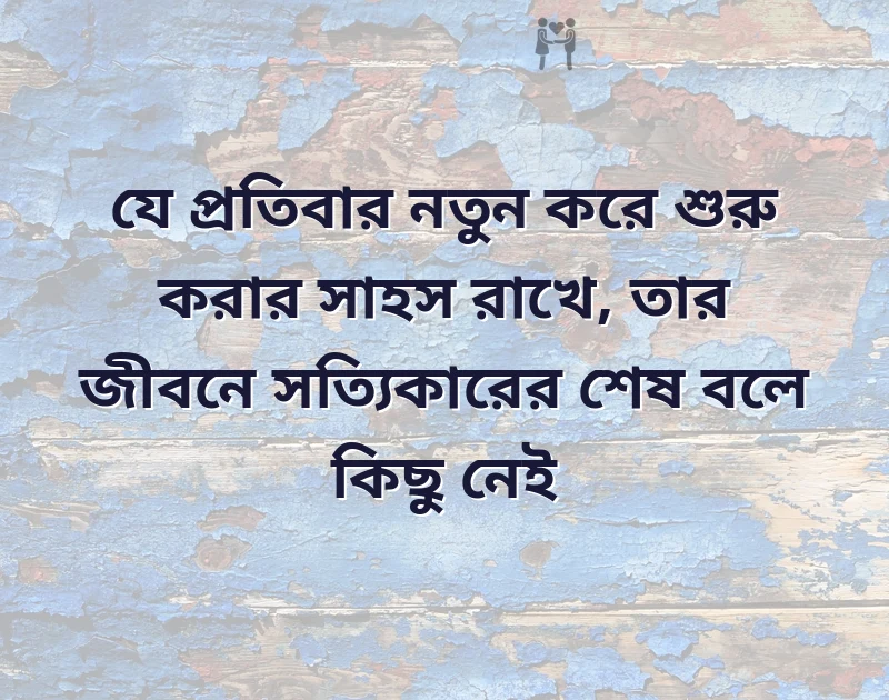 দারুণ একটি ছবি