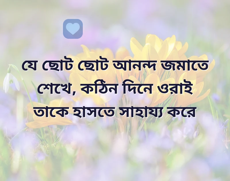 best dp