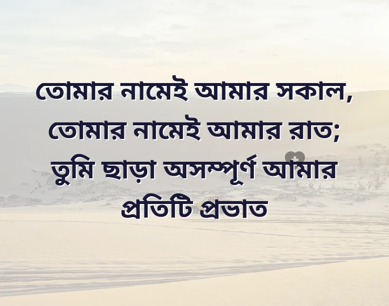 সুন্দর একটি ছবি