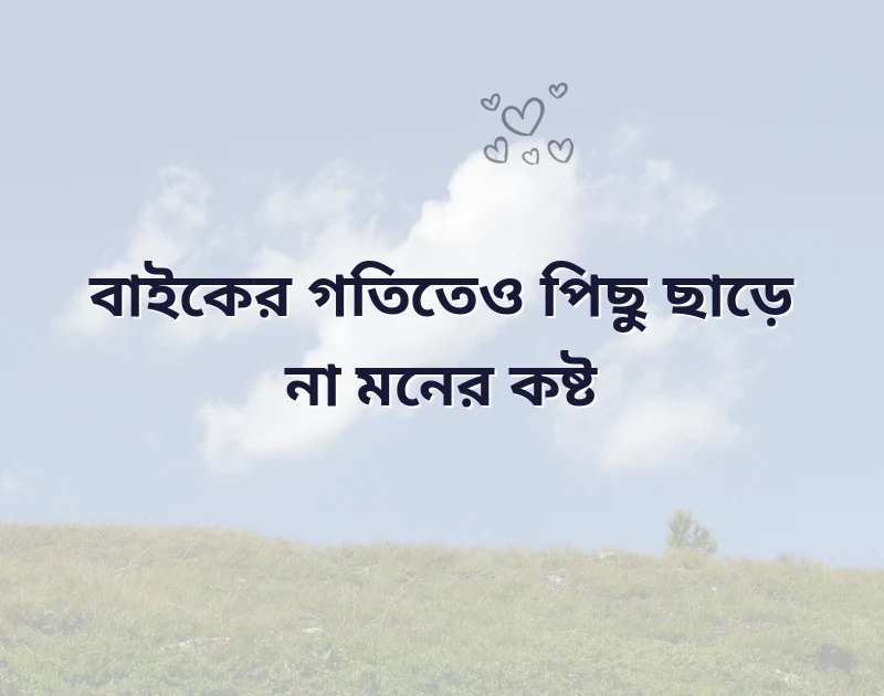 দারুণ একটি ছবি