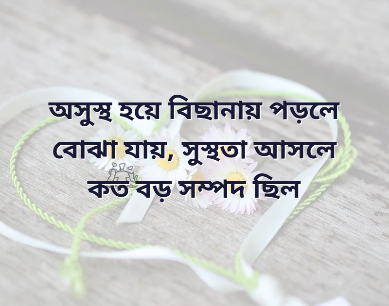 দারুণ একটি ছবি