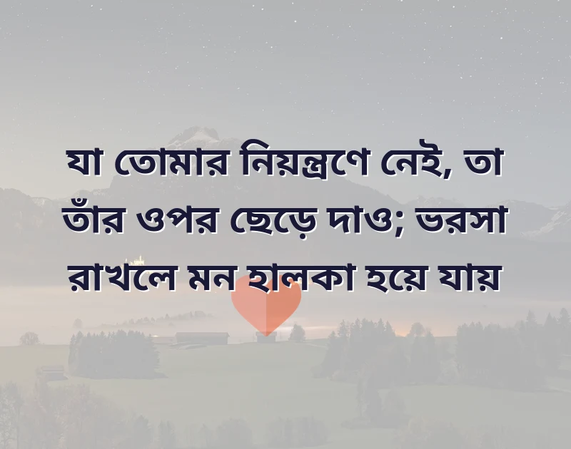 পছন্দের একটি ছবি