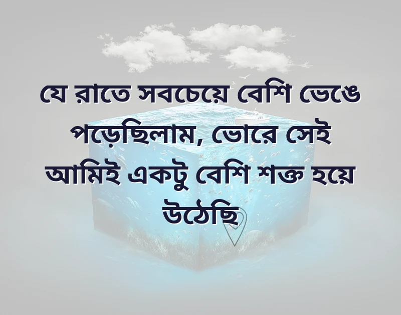 সুন্দর একটি ছবি