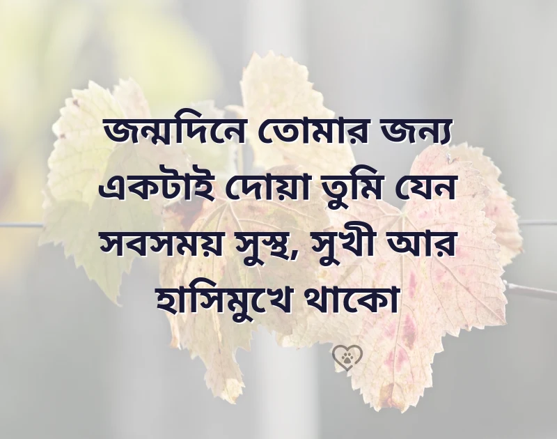 birthday quotes bengali