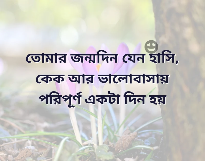 birthday wish bangla