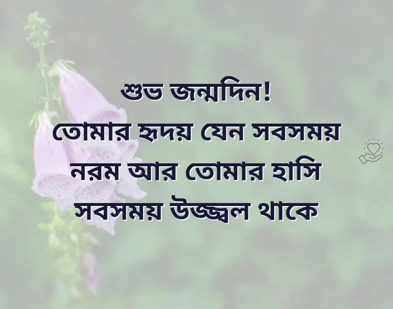 পছন্দের একটি ছবি