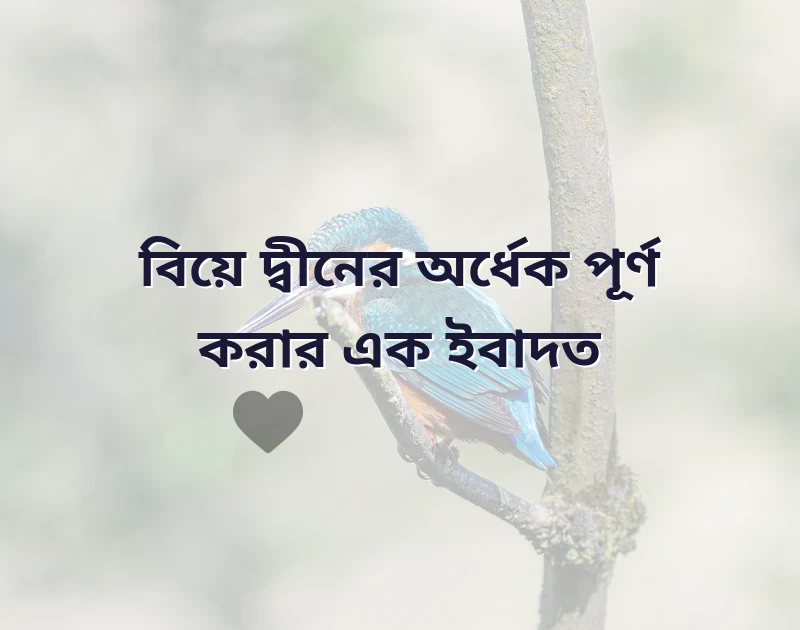 বিয়ে নিয়ে ইসলামিক উক্তি
