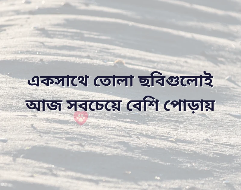 পছন্দের একটি ছবি