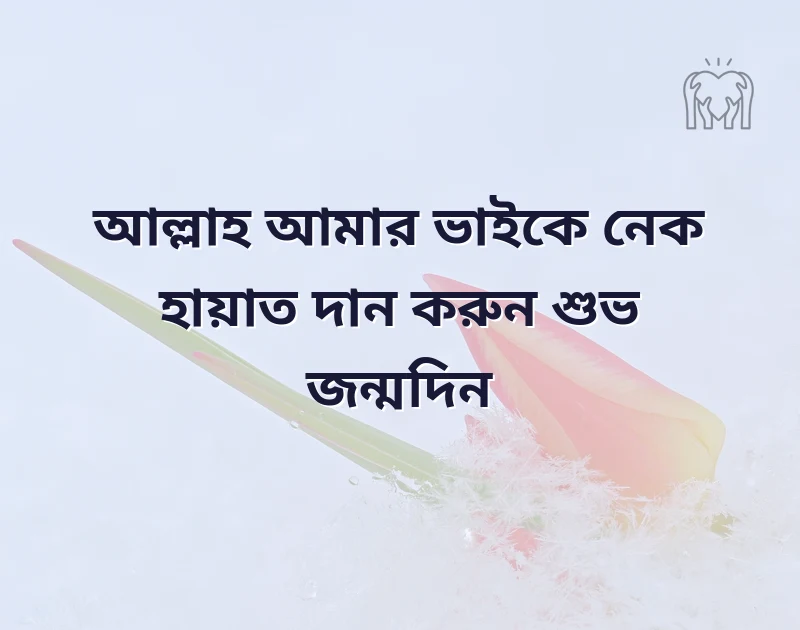 বড় ভাইয়ের জন্মদিনের শুভেচ্ছা ইসলামিক