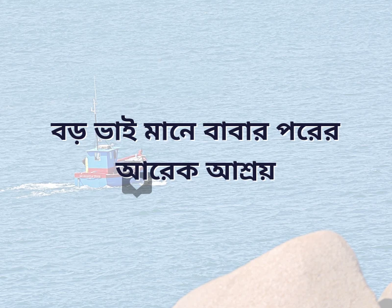 শেয়ার করার মতো ছবি