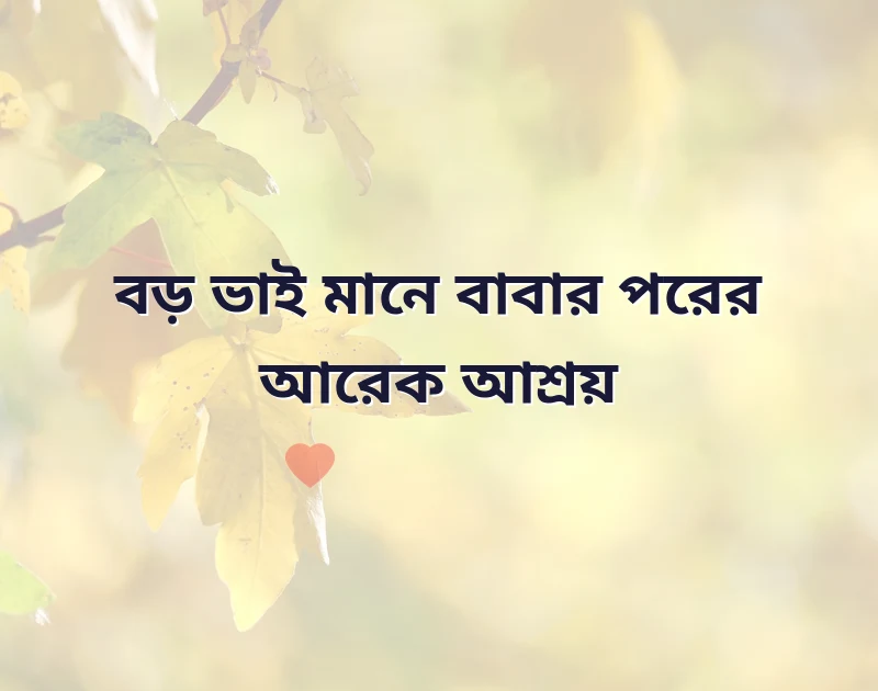 শেয়ার করার মতো ছবি