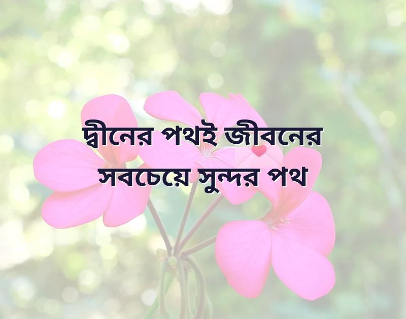 বোরকা পরা প্রোফাইল
