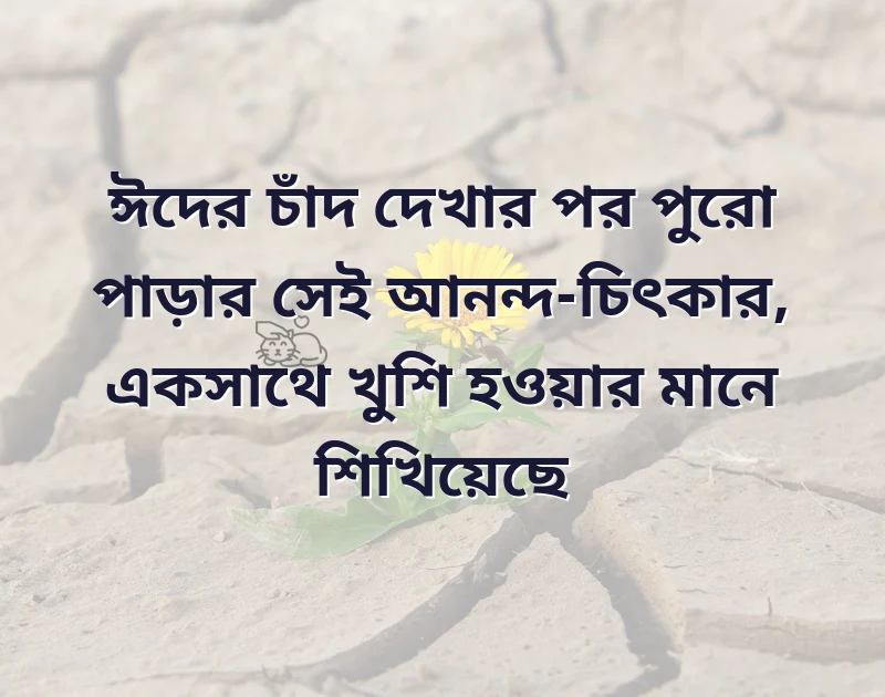 শেয়ার করার মতো ছবি