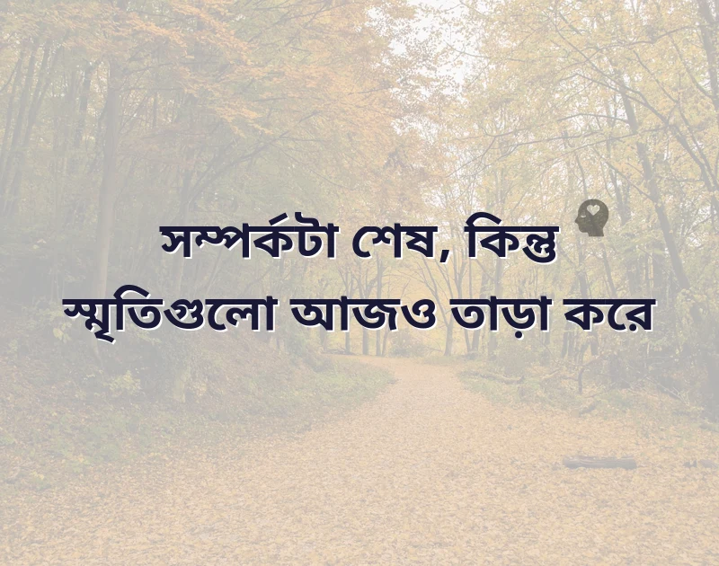 দারুণ একটি ছবি
