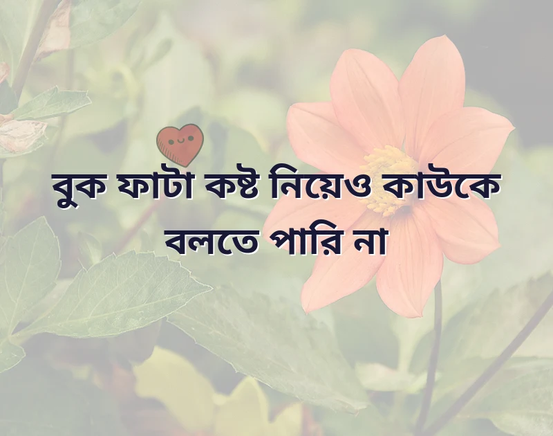 শেয়ার করার মতো ছবি